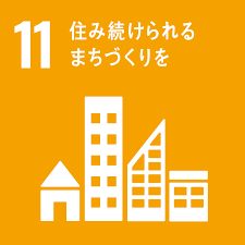 SDG 11