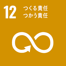 SDG 12