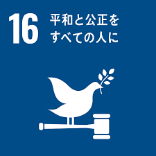 SDG 16