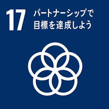 SDG 17