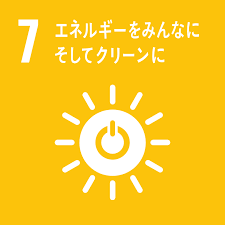 SDG 7