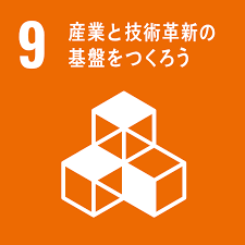 SDG 9